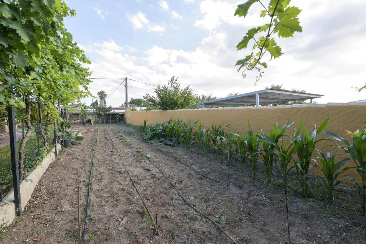 Rincon De La Huerta Villa Chiclana de la Frontera Dış mekan fotoğraf
